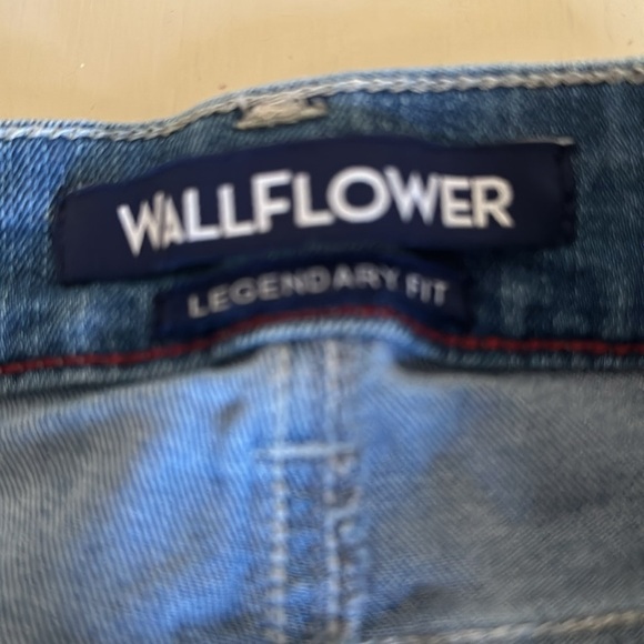 Sexy Wallflower Short Shorts - Distressed Size 9 - EUC - Picture 3 of 6